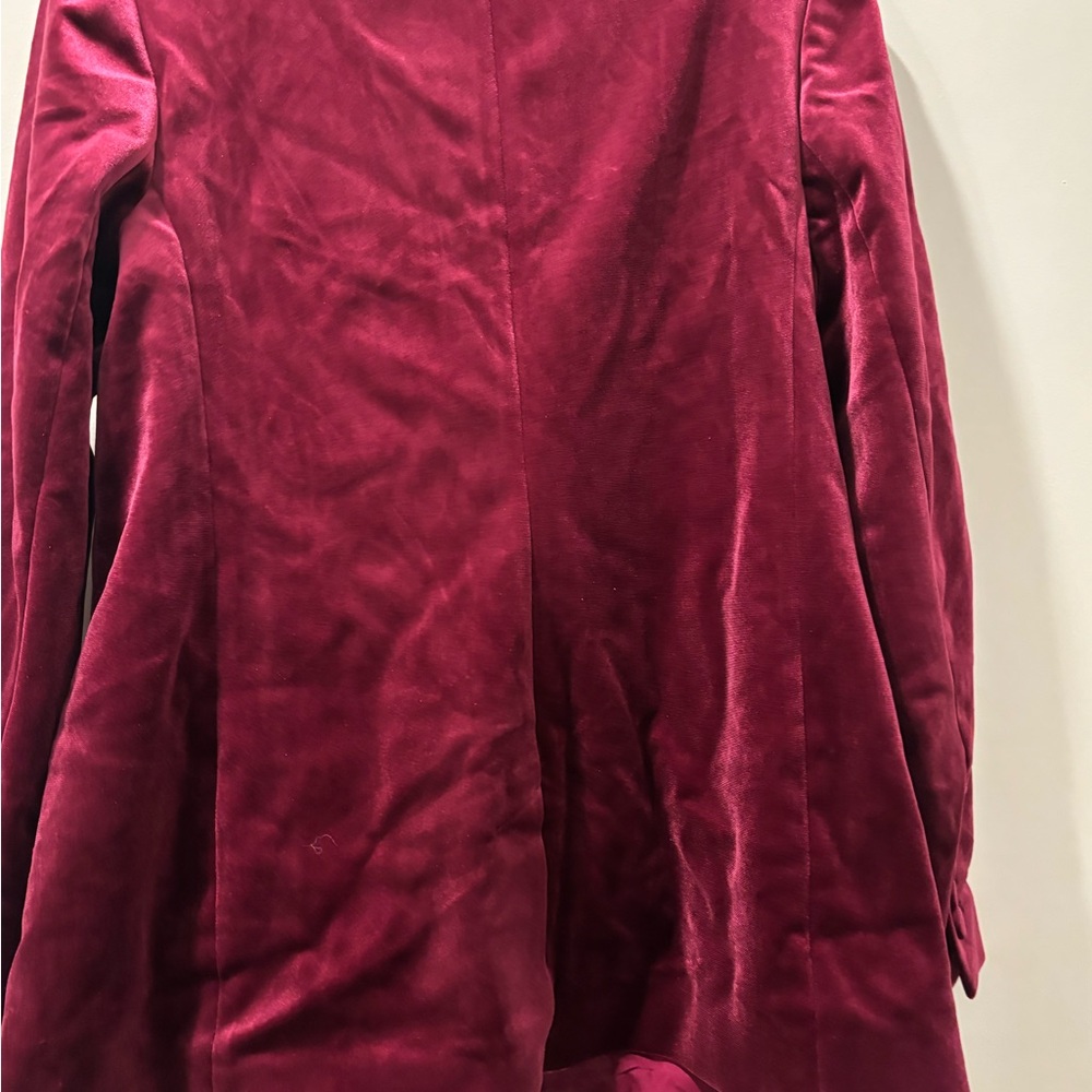 EXPRESS VELVET DOUBLE BREASTED BLAZER - Picture 3 of 4
